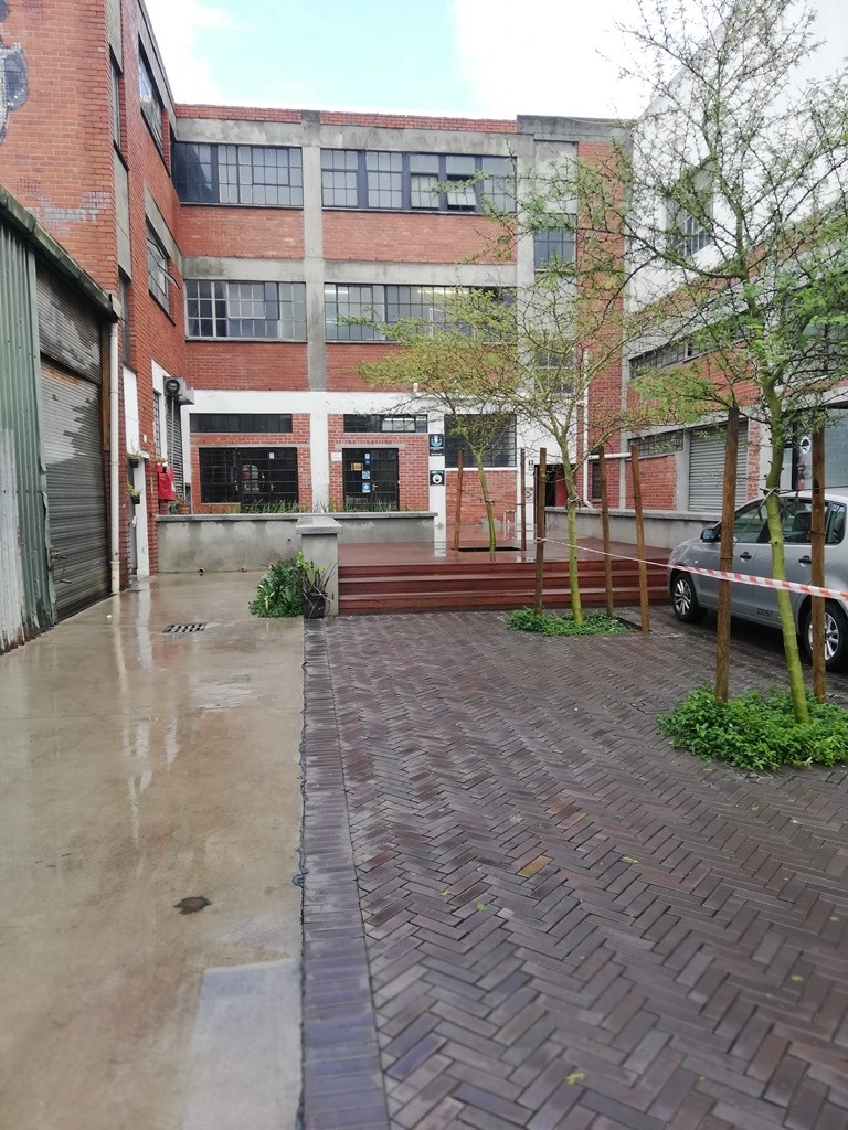 To Let 0 Bedroom Property for Rent in Salt River Western Cape